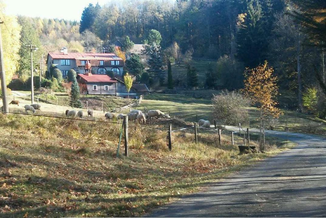 Apartmány Šedek Roprachtice Exterior foto
